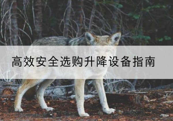 庆安升降货梯厂家推荐-*安全选购升降设备指南