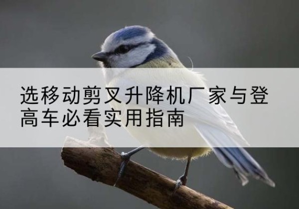 庆安电动升降机厂家-选移动剪叉升降机厂家与登高车必看实用指南