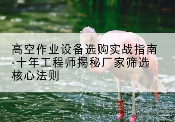 庆安剪叉式升降机厂家-高空作业设备选购实战指南-十年工程师揭秘厂家筛选核心法则